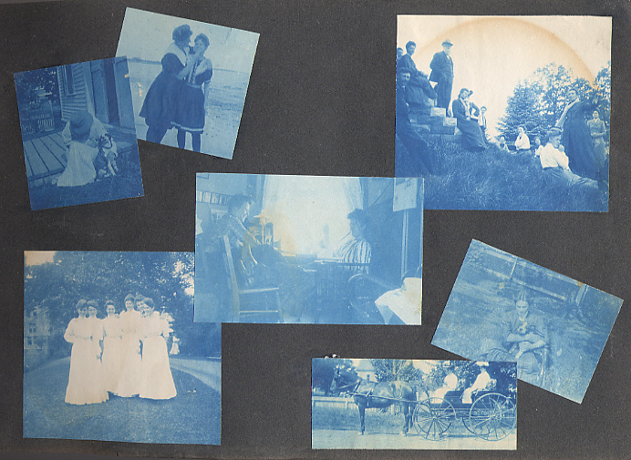 [Cyanotypes]
