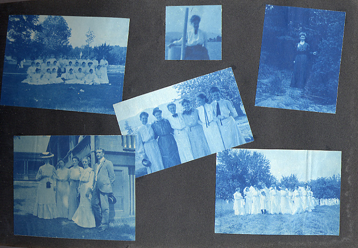 [Cyanotypes]