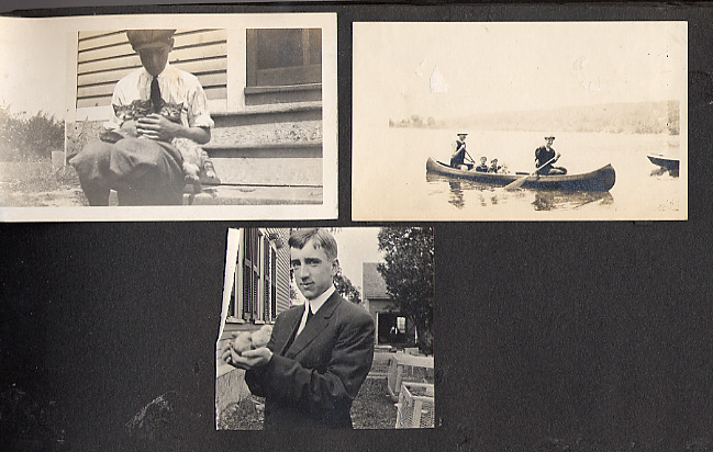 [Chicks and Kittens]