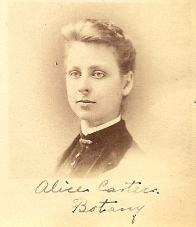 [Alice Carter]