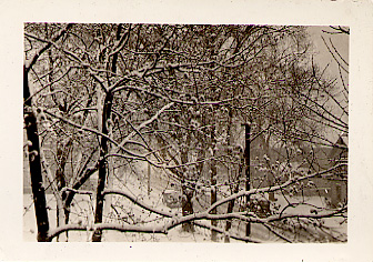 [Snowy Scene]