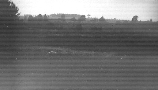 [Hillside]