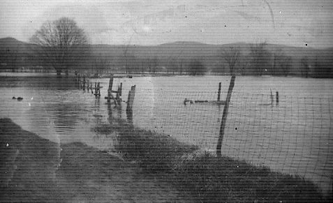 [Flood]