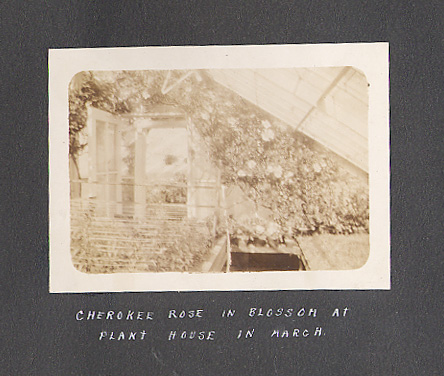 [Greenhouse]