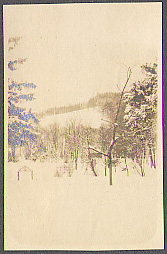 [Untitled]