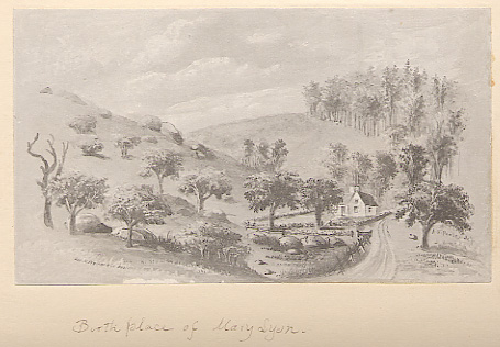 [Plate]
